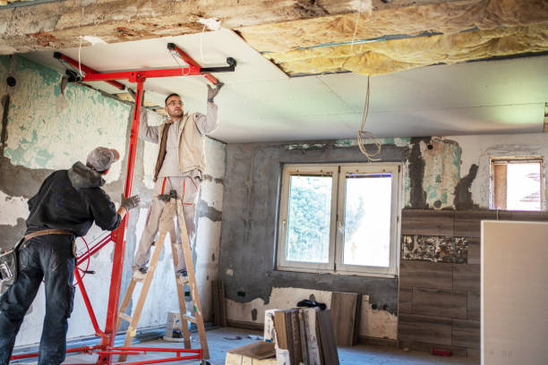 Best Insulation Maintenance and Repair in Loveland Park, OH