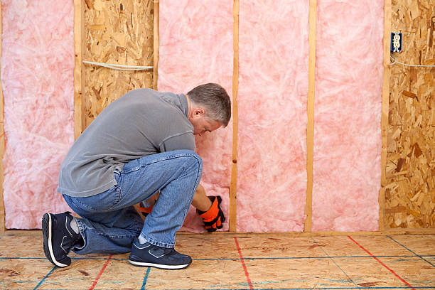 Best Types of Insulation in Loveland Park, OH